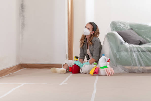 Reliable Attic Mold Removal contractor in Smyrna, GA by WQB Mold Removal
